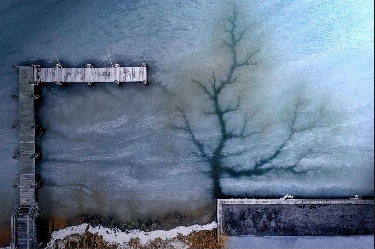 Joanna Steidle