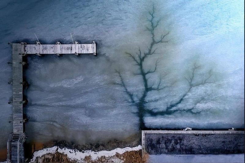 Joanna Steidle