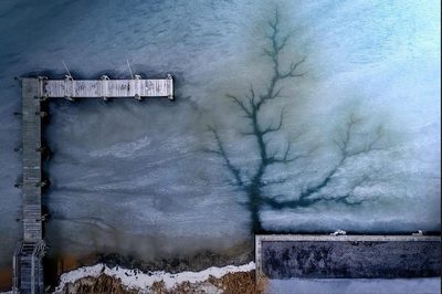Joanna Steidle
