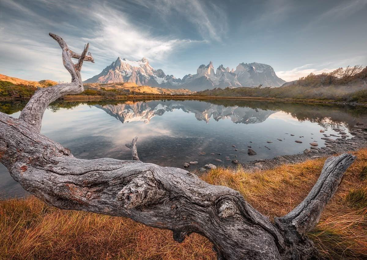 Patagonian mountain landscape in autumn with golden beech forests and Fitz Roy massif under dramatic skies