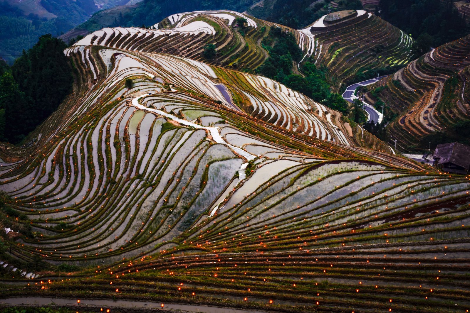 Longji Rice Terraces illuminated at dusk