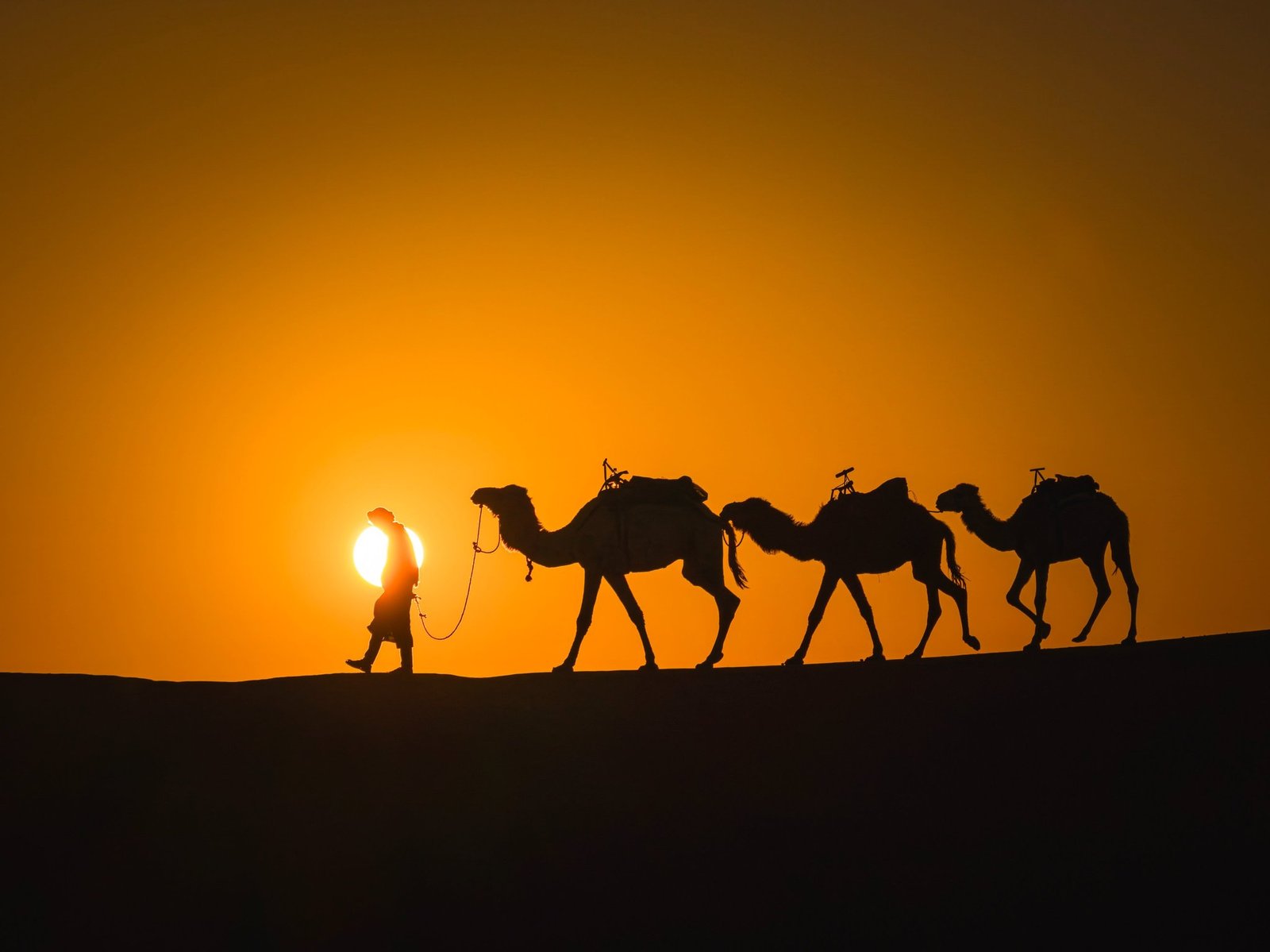 Morocco Photo Tour