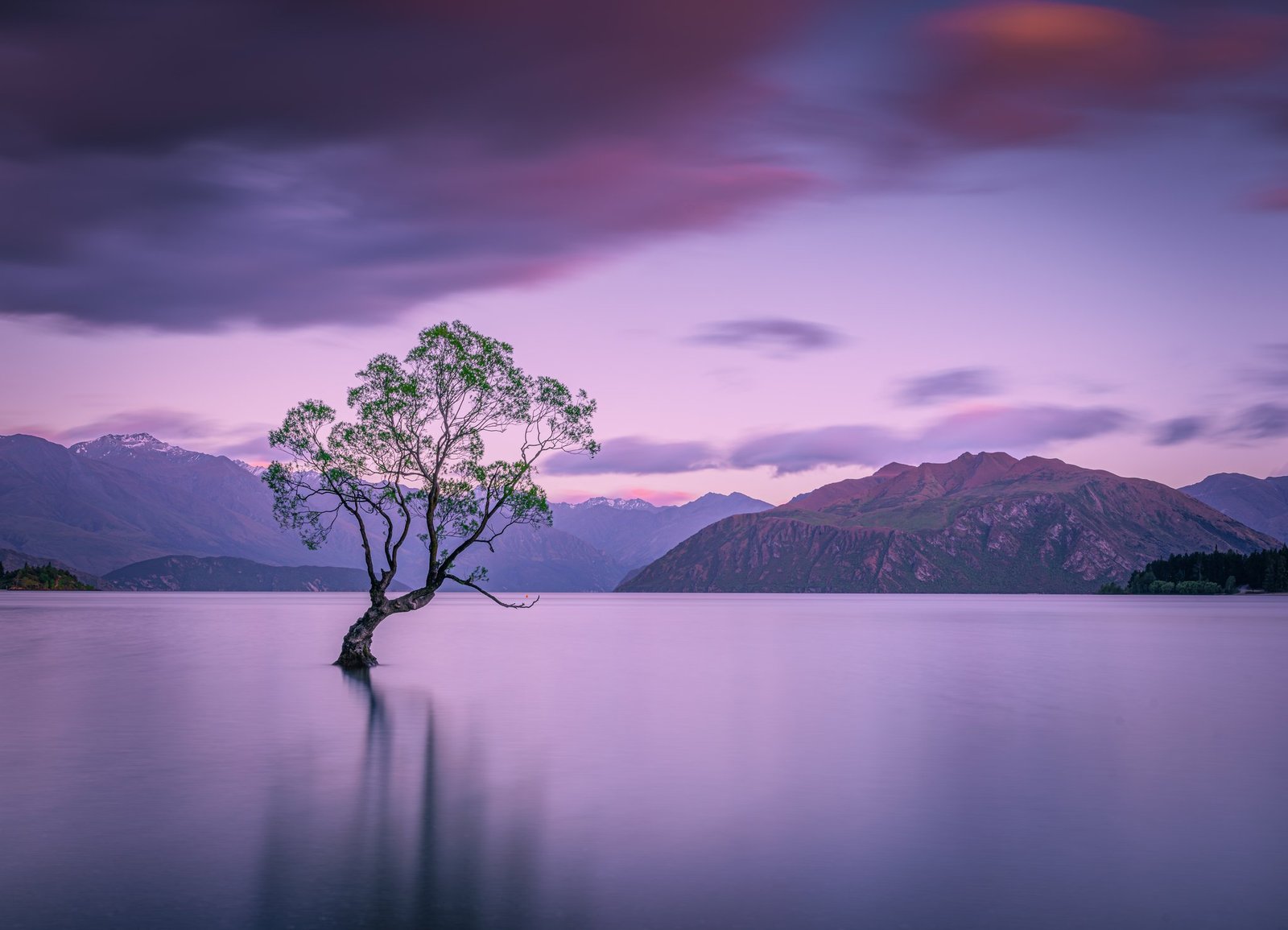 Wanaka