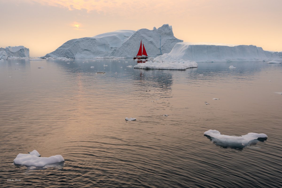 Icebergs and sailboats bathed in warm golden sunset light across the calm waters of Disko Bay