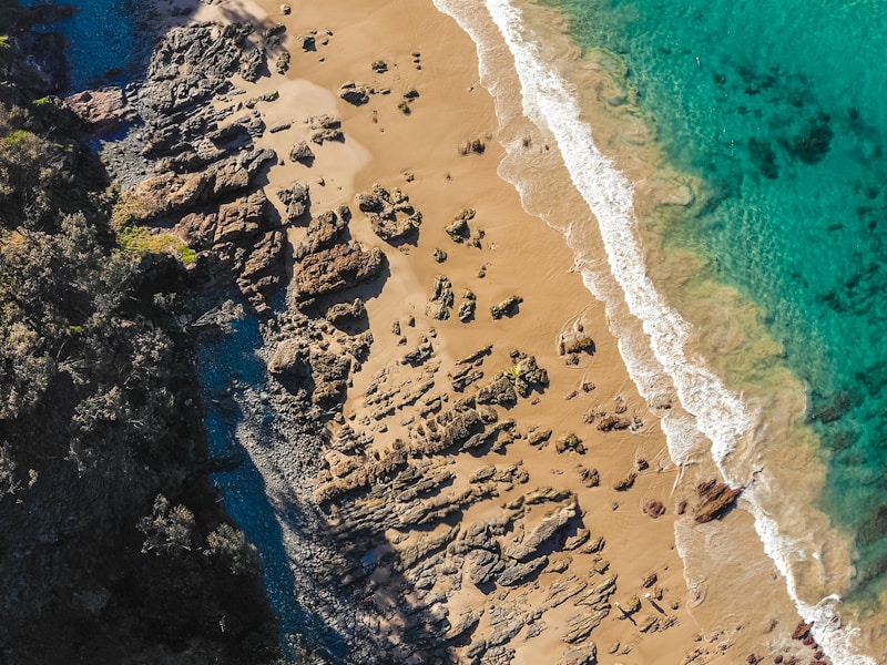 Wildlife Photography