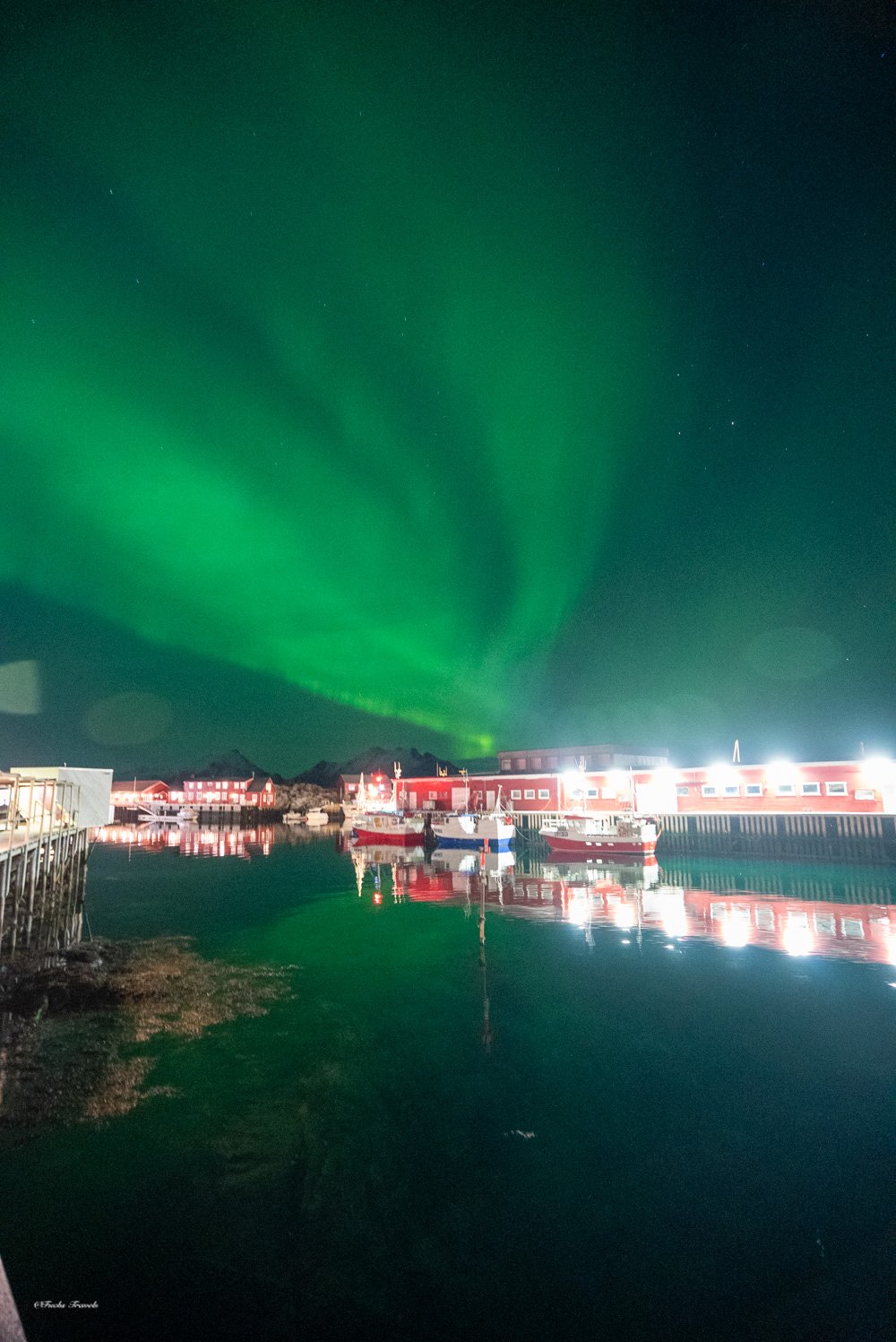 Northern lights dancing over a Lofoten fishing harbor with traditional red rorbu cabins reflected in still waters