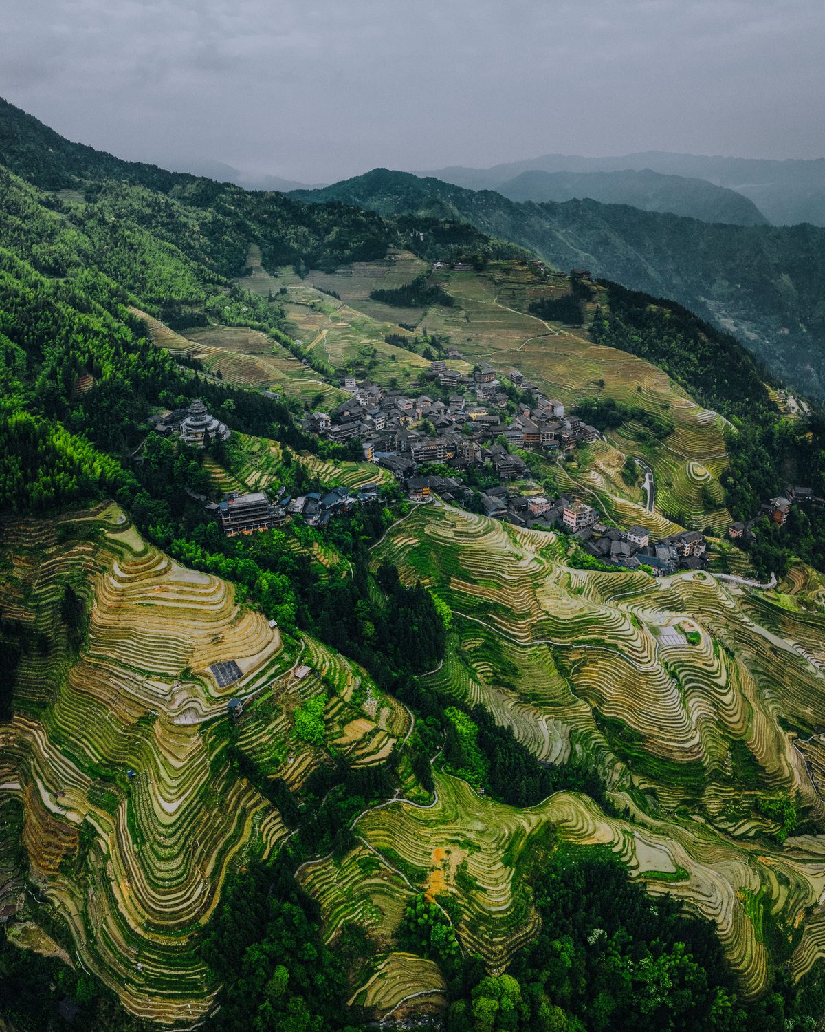 Longji Rice Terraces carved into hillsides in dramatic stepped patterns