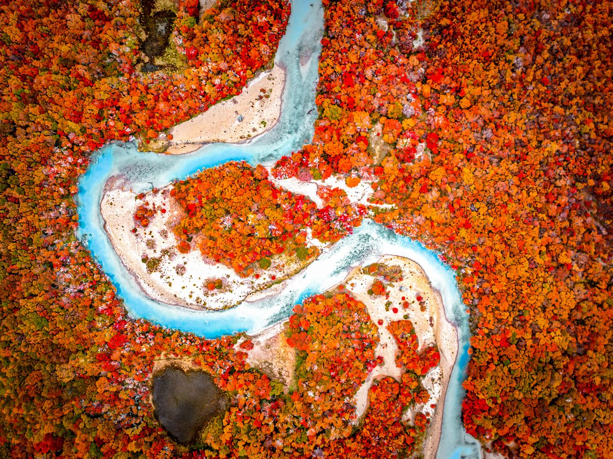 The Fitz Roy River canyon winding through autumn foliage toward the Andes peaks